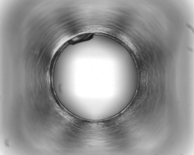 X0000093240936200710241252