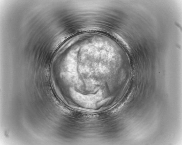 X0000093240937200710241252