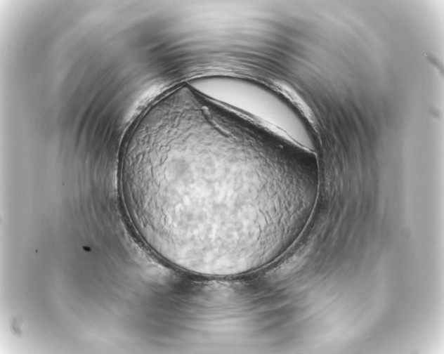 X0000093240938200710241252