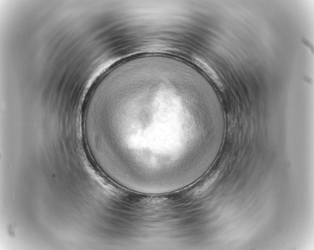 X0000093240939200710241252