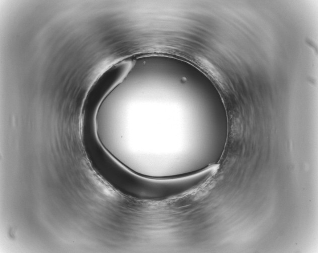 X0000093240940200710241252