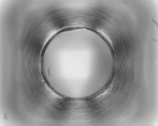 X0000093240941200710241252