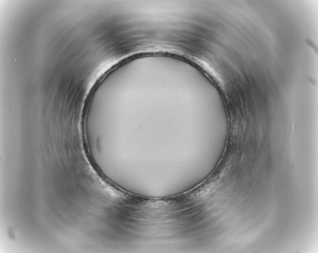 X0000093240943200710241252