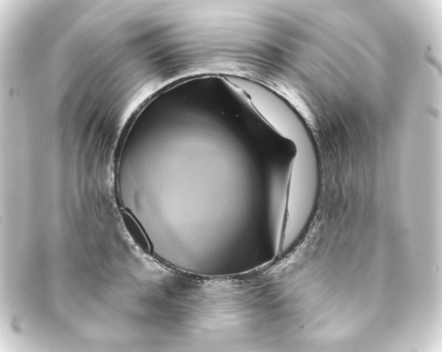 X0000093240944200710241252