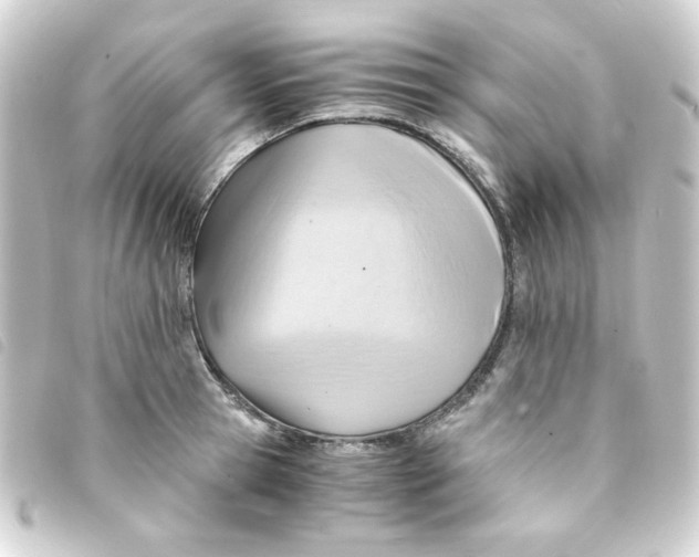 X0000093240945200710241252