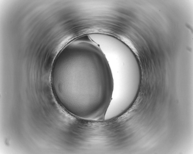 X0000093240946200710241253