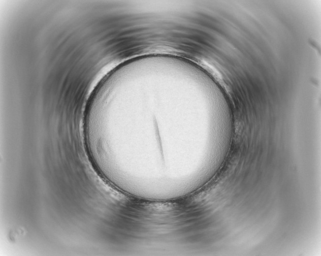 X0000093240947200710241253