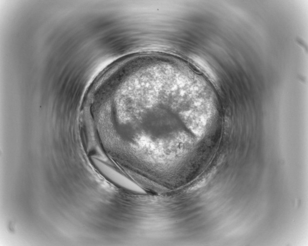 X0000093240948200710241253