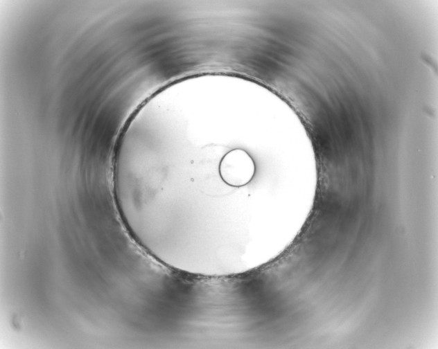 X0000093240950200710241253