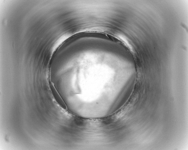 X0000093240952200710241253