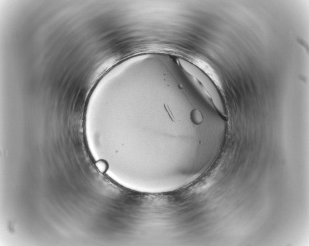 X0000093240954200710241253