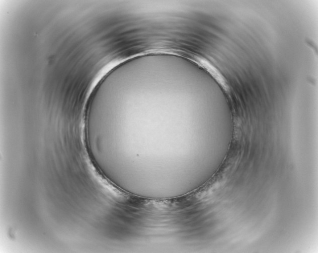 X0000093240955200710241253