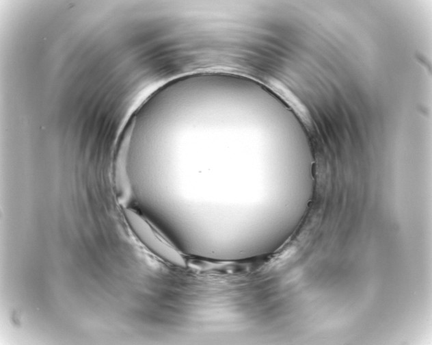 X0000093240956200710241253