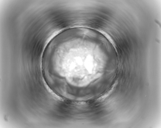 X0000093240957200710241253