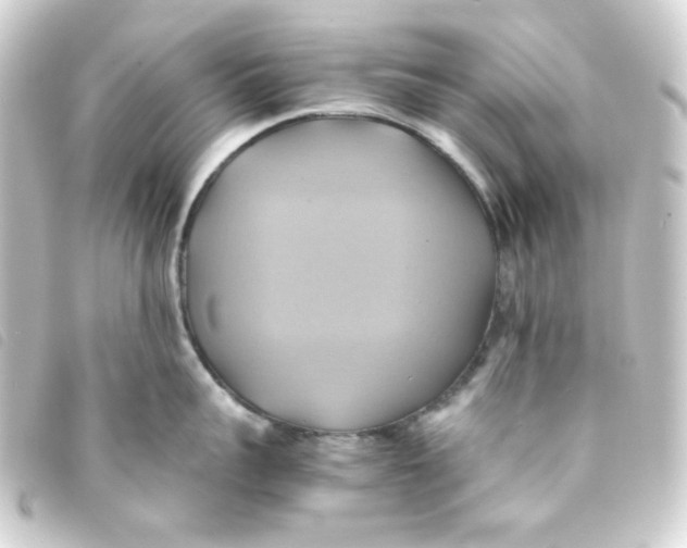 X0000093240959200710241253