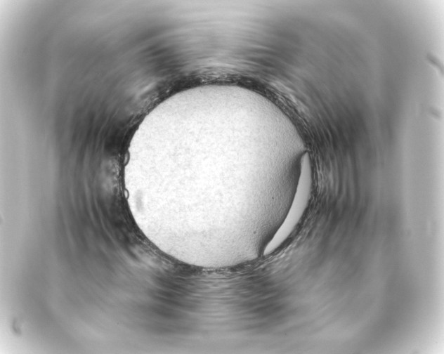 X0000093240964200710241252