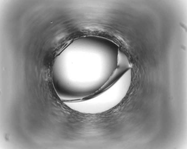 X0000093240965200710241252