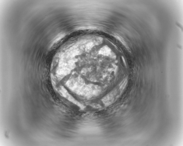 X0000093240967200710241252