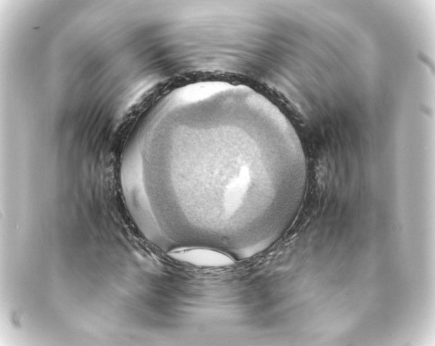 X0000093240968200710241252