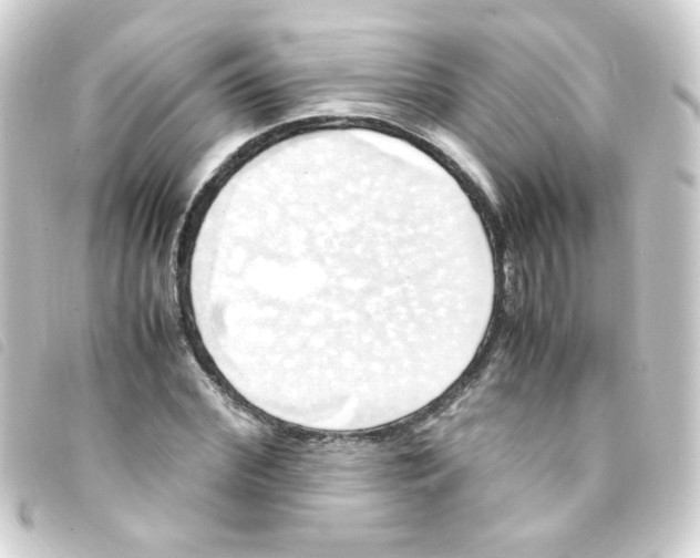 X0000093240972200710241252