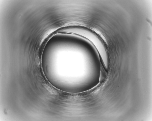 X0000093240973200710241252