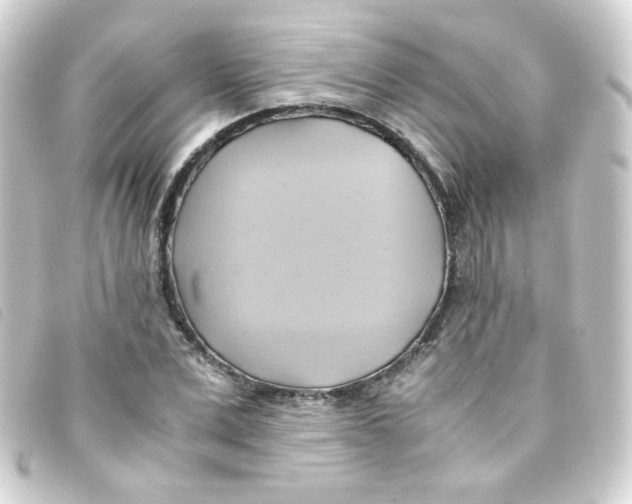 X0000093240975200710241252