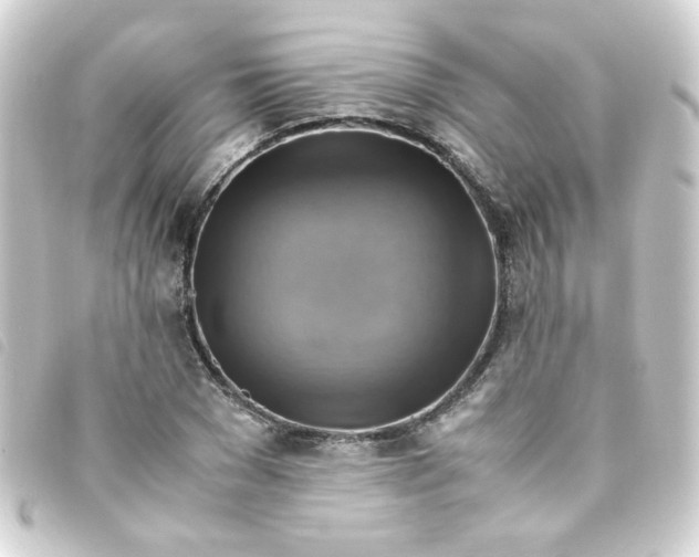 X0000093240977200710241252