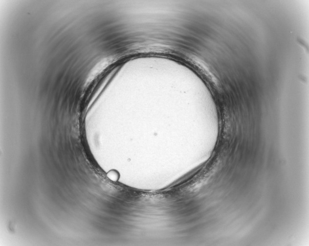 X0000093240978200710241252