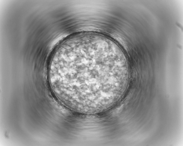 X0000093240979200710241252