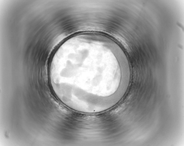 X0000093240982200710241252