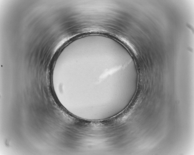 X0000093240983200710241252