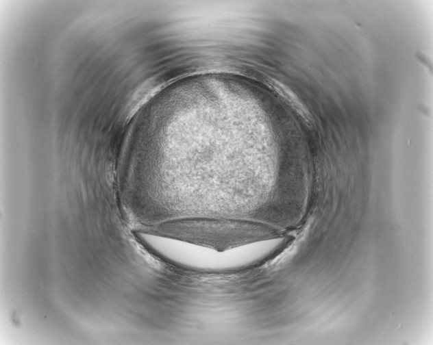 X0000093240985200710241252