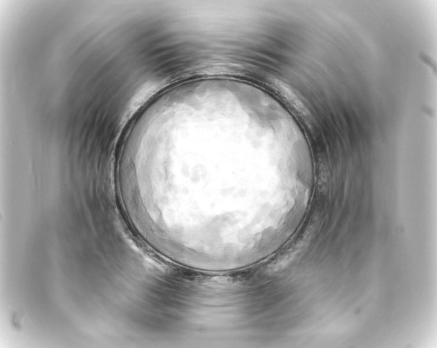 X0000093240986200710241252