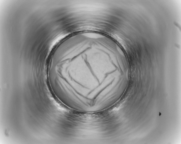 X0000093240987200710241252