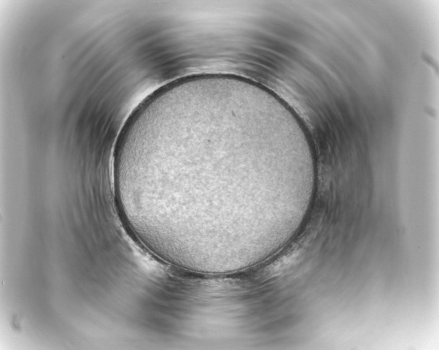 X0000093240988200710241252