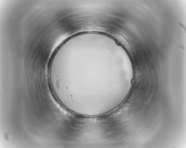 X0000093240990200710241252