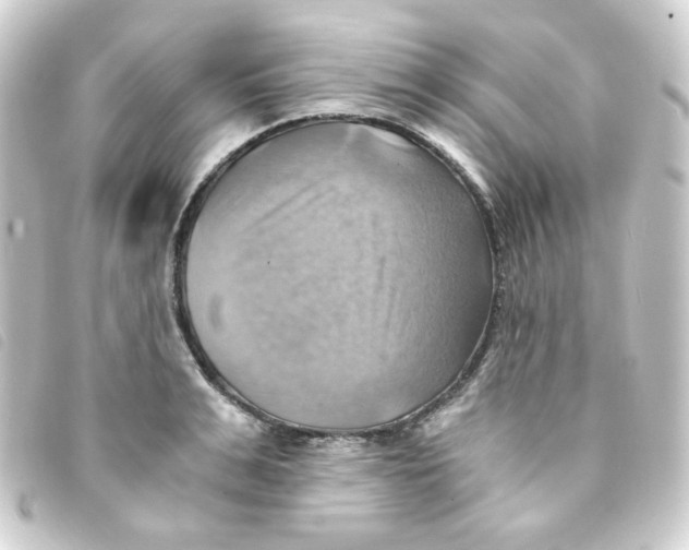 X0000093240991200710241252