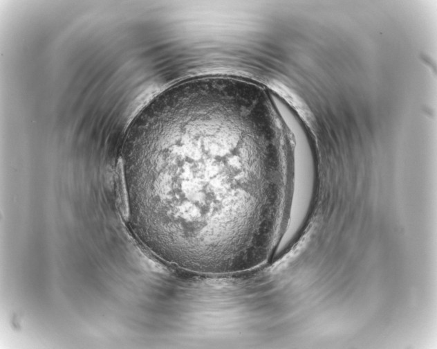 X0000093240993200710241252