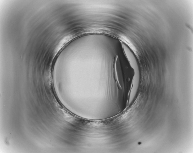 X0000093240994200710241252