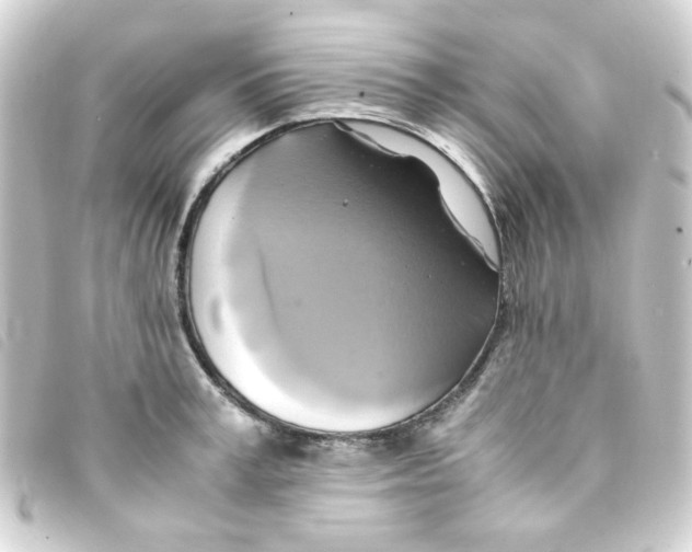 X0000093240995200710241252