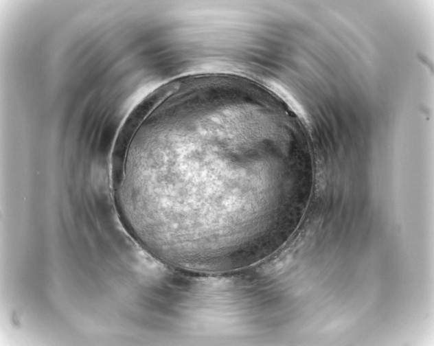 X0000093240996200710241252