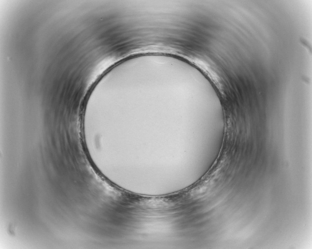 X0000093240998200710241252