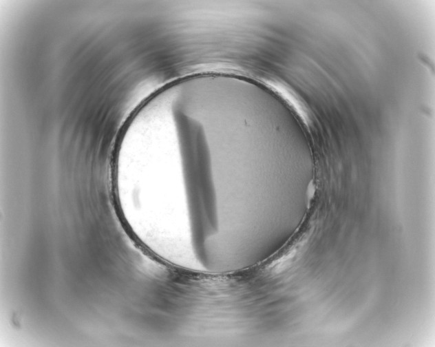 X0000093240999200710241252