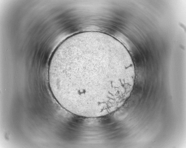 X0000093241000200710241252