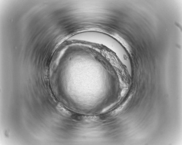 X0000093241001200710241252