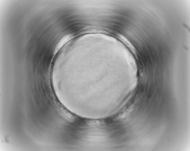 X0000093241002200710241252