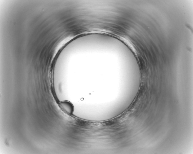 X0000093241003200710241252