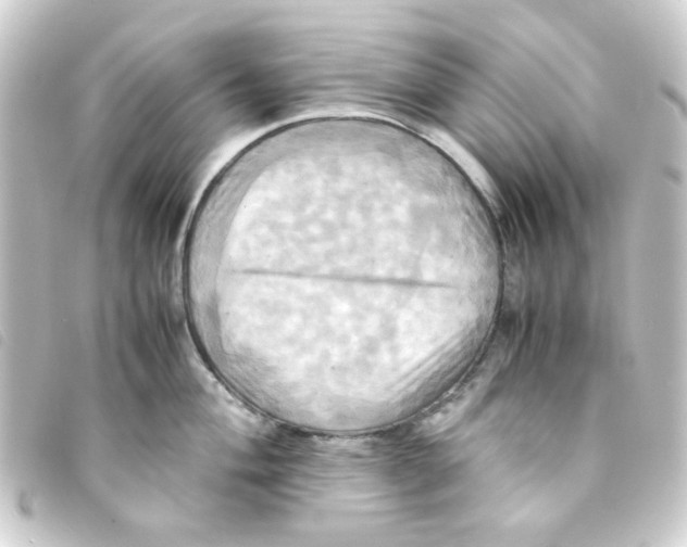 X0000093241004200710241252