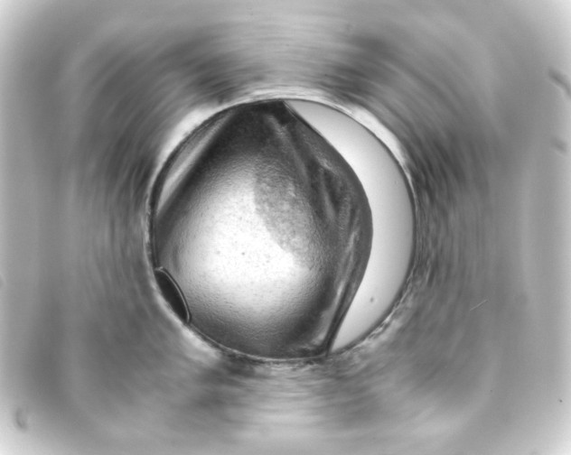 X0000093241005200710241252