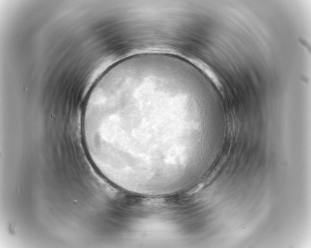 X0000093241006200710241252